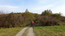  Blick auf die Wanderstrecke 