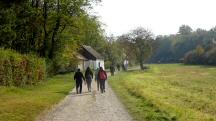 Wanderroute ber den Kellerweg entlang der Kellergasse Seebarn