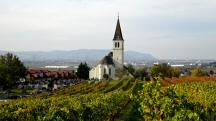  Blick zur Kath. Pfarrkirche hl. Ulrich 