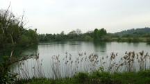 Blick zu einen Teich in der Nhe von Hubertendorf 