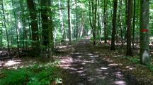 Wanderroute durch das groe Waldgebiet des Eichbergs