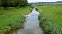  Blick auf die Perschling flussabwrts 