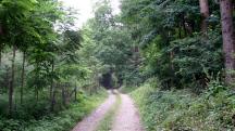  Wanderroute durch den Gutenbrunner Wald 