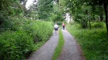  Wanderroute durch den Gutenbrunner Wald 