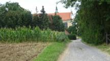  Blick auf die Wanderstrecke bei Heiligenkreuz 