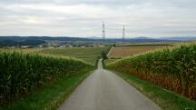 Blick auf die Wanderstrecke nach Weienkirchen an der Perschling 