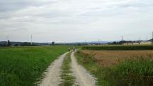  Blick auf die Wanderstrecke entlang der Perschling 