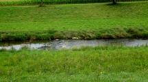  Impression der Perschling 
