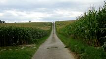  Blick auf die Wanderstrecke 