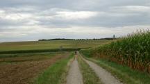  Blick auf die Wanderstrecke 