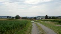  Blick auf die Wanderstrecke Richtung Panzing 