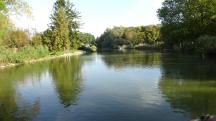  Blick auf den Sierndorfer Teich 