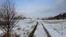  Wanderroute ber den Mitterweg 