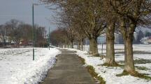 Blick auf die Wanderstrecke Richtung Florian-Berndl-Bad auf der Gustl-Schmidt Allee