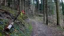  Blick auf die Wanderstrecke am Hausberg 