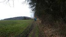  Blick auf die Wanderstrecke am Hausberg 