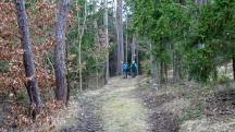  Blick auf die Wanderstrecke am Falzenberg 