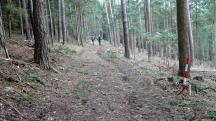  Blick auf die Wanderstrecke am Falzenberg 