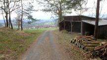  Blick auf die Wanderstrecke am Falzenberg 