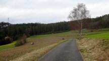  Blick auf die Wanderstrecke nach Seiterndorf 