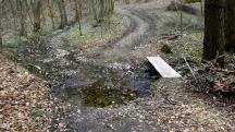 Blick auf die Wanderstrecke - berquerung des Kirchbachs  