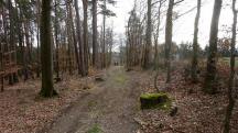 Blick auf die Wanderstrecke in der Riede "Auf der Hlben"