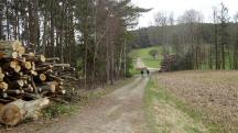 Blick auf die Wanderstrecke in der Riede "Auf der Hlben"