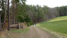 Blick auf die Wanderstrecke in der Riede "Auf der Hlben"