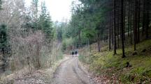  Blick auf die Wanderstrecke 