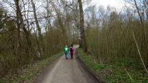  Blick auf die Wanderstrecke in der Korneuburger Au 