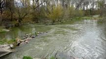  Blick auf das Gewsser Krumpenwasser flussabwrts 