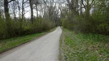  Rckweg auf der schon bekannten Wanderstrecke 