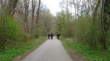  Rckweg auf der schon bekannten Wanderstrecke 