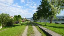 Blick auf die Wanderstrecke entlang der Donau 