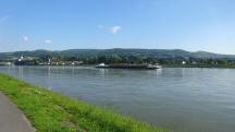  Blick ber die Donau nach Persenbeug 