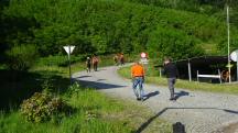  Blick auf die Wanderstrecke 