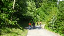  Blick auf die Wanderstrecke 