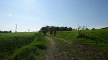  Blick auf die Wanderstrecke 
