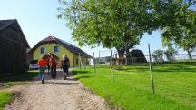 Blick auf die Wanderstrecke bei dem Landwirtschaftsbetrieb Donaublick Alpakas 