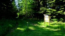 Blick auf die Wanderstrecke auf dem Ybbser Panoramarundwanderweg 