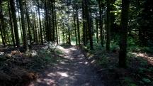  Blick auf die Wanderstrecke 