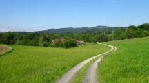  Blick auf die Wanderstrecke zum Lschl Hof 