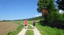  Blick auf die Wanderstrecke durch die Region Reitern 