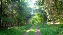  Blick auf die Wanderstrecke 