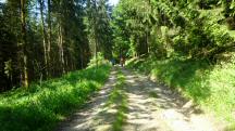  Blick auf die Wanderstrecke 