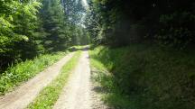  Blick auf die Wanderstrecke 