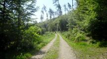  Blick auf die Wanderstrecke 