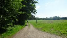  Blick auf die Wanderstrecke 