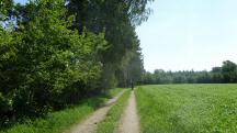  Blick auf die Wanderstrecke 