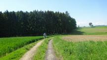 Blick auf die Wanderstrecke 
